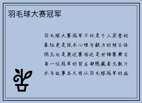 羽毛球大赛冠军
