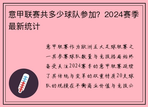 意甲联赛共多少球队参加？2024赛季最新统计